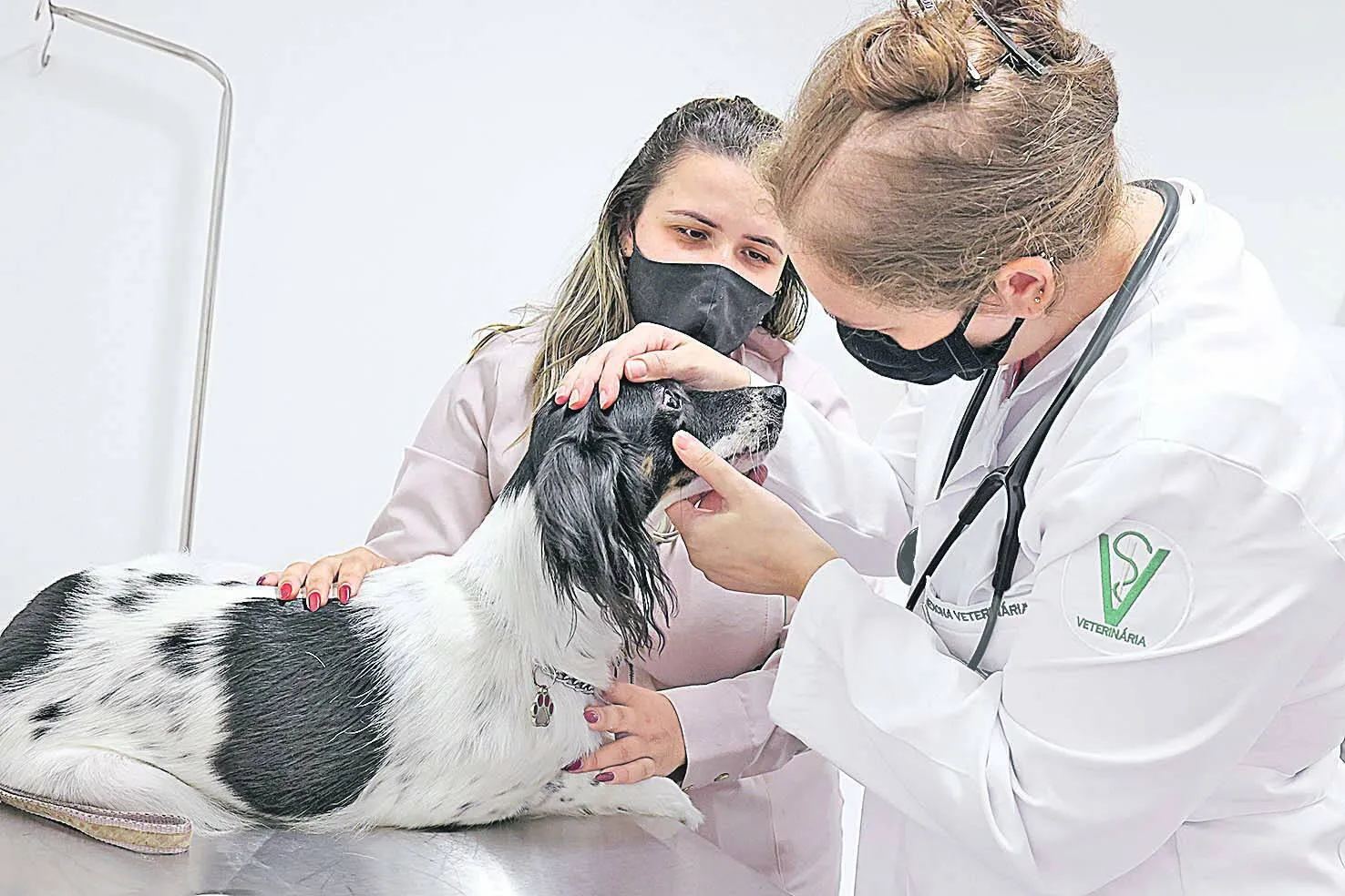 Imagem ilustrativa da imagem Cursos na área da saúde em alta