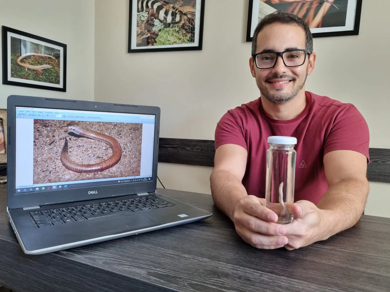 Imagem ilustrativa da imagem Biólogo capixaba descobre nova espécie de lagarto