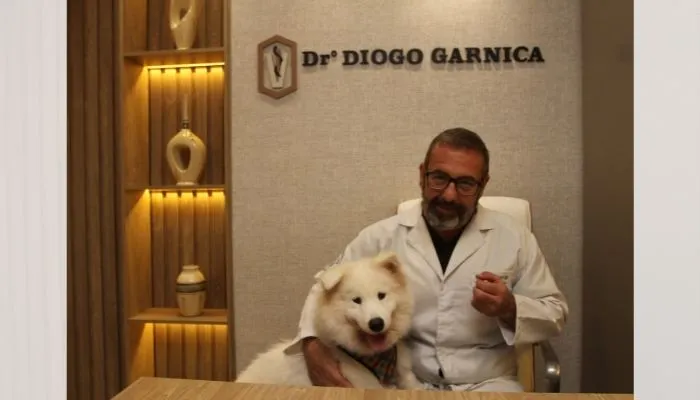 Imagem ilustrativa da imagem Lei vai punir quem atropela e não socorre animal
