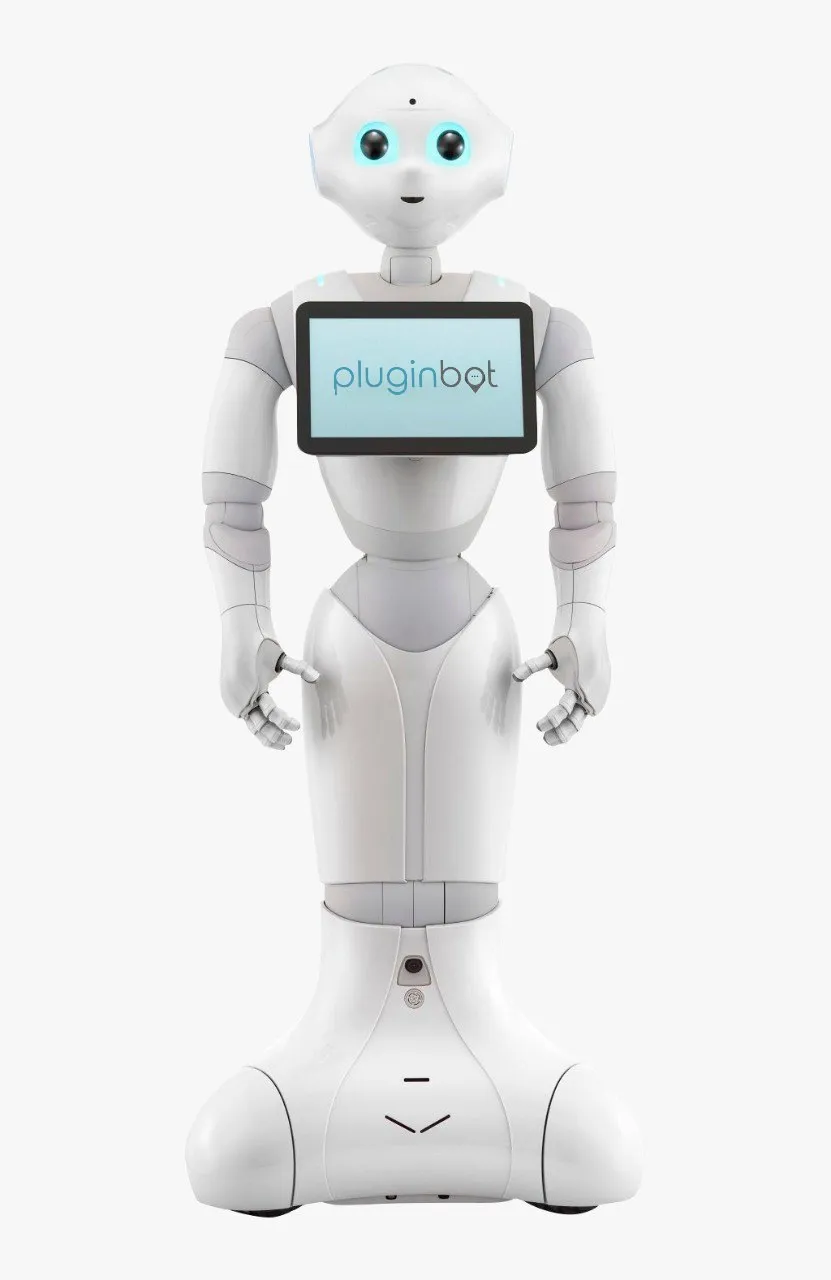 NAO - Pluginbot