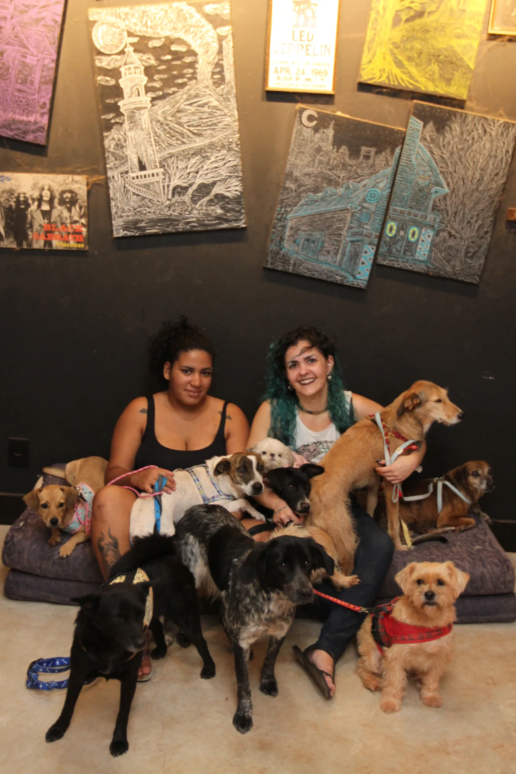 Imagem ilustrativa da imagem Adoção temporária para salvar animais