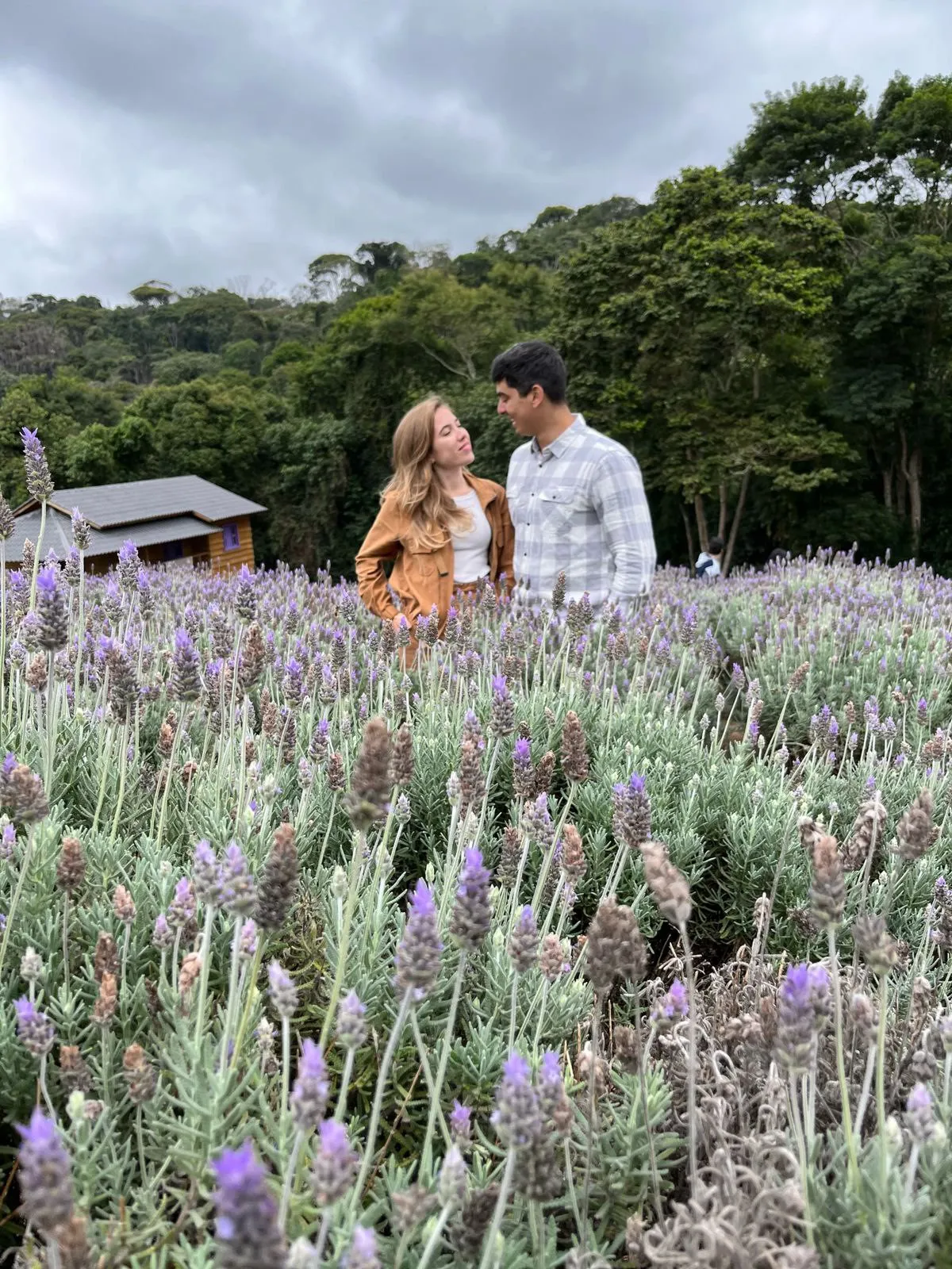 Imagem ilustrativa da imagem Rota das flores para fazer selfies