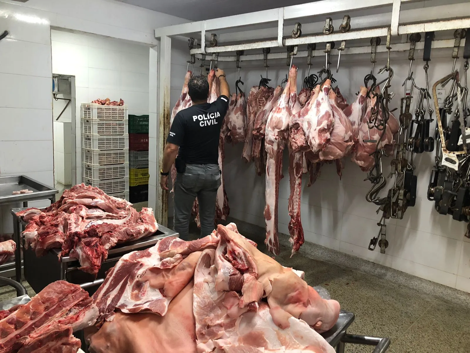 Imagem ilustrativa da imagem 15 toneladas de carne clandestina são apreendidas em Vila Velha