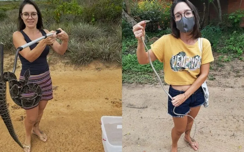 Imagem ilustrativa da imagem Bióloga já retirou 30 cobras de dentro de casas neste verão