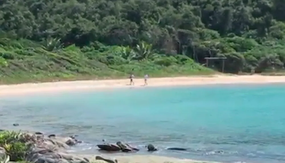Imagem ilustrativa da imagem Família diz que jovem pode ter sido vítima de ataque criminoso em Guarapari