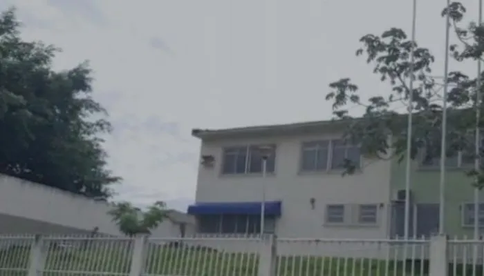 Imagem ilustrativa da imagem Cariacica suspende aulas de escola para retirada de enxame de abelhas