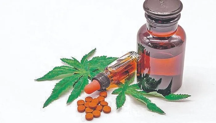 Imagem ilustrativa da imagem Anvisa aprova mais três produtos à base de Cannabis