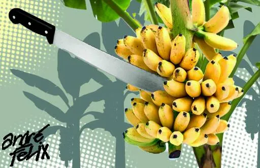 Imagem ilustrativa da imagem Guerino em busca de seu sonho