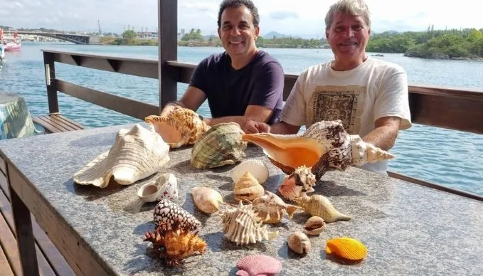 Imagem ilustrativa da imagem Caçadores de conchas valiosas são contratados por milionário