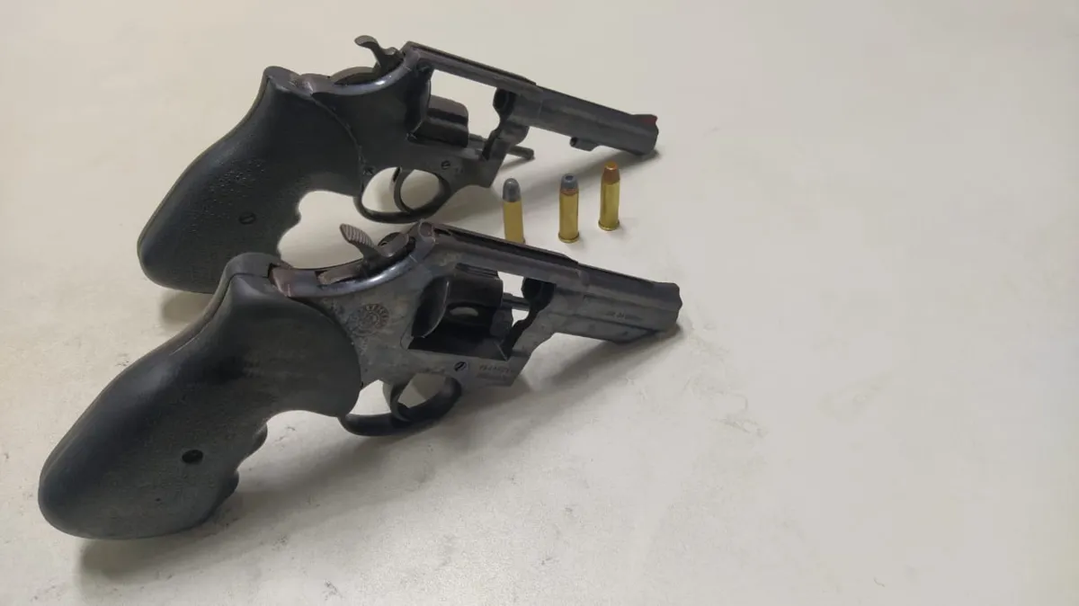 Imagem ilustrativa da imagem Polícia apreende armas usadas para matar mulher trans no Sul Estado