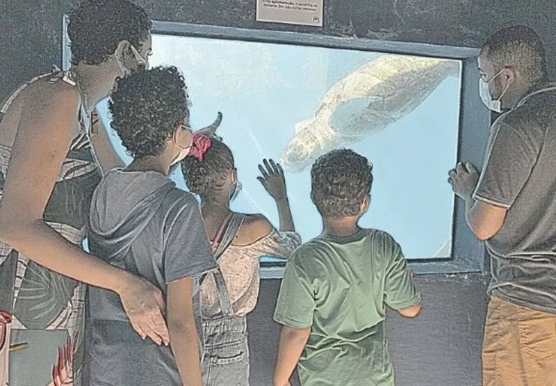 Tarsilayne e Rafael observam as tartarugas junto com os filhos  Guilherme,  de 11 anos, Caroline, 9, e Gustavo, 6
