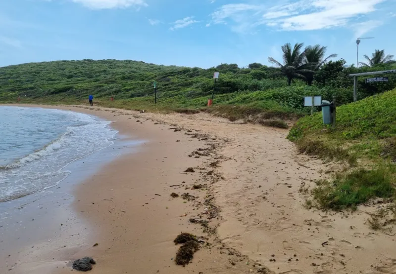 Praia do Ermitão,   onde universitário  foi encontrado  com a barriga aberta