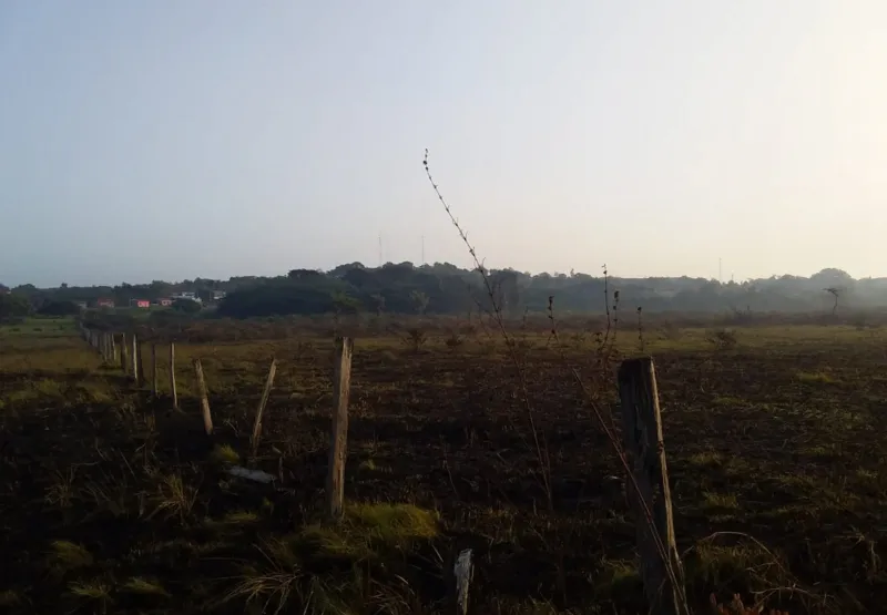Um dos terrenos que era disputado, em Governador Nunes Freire, Maranhão