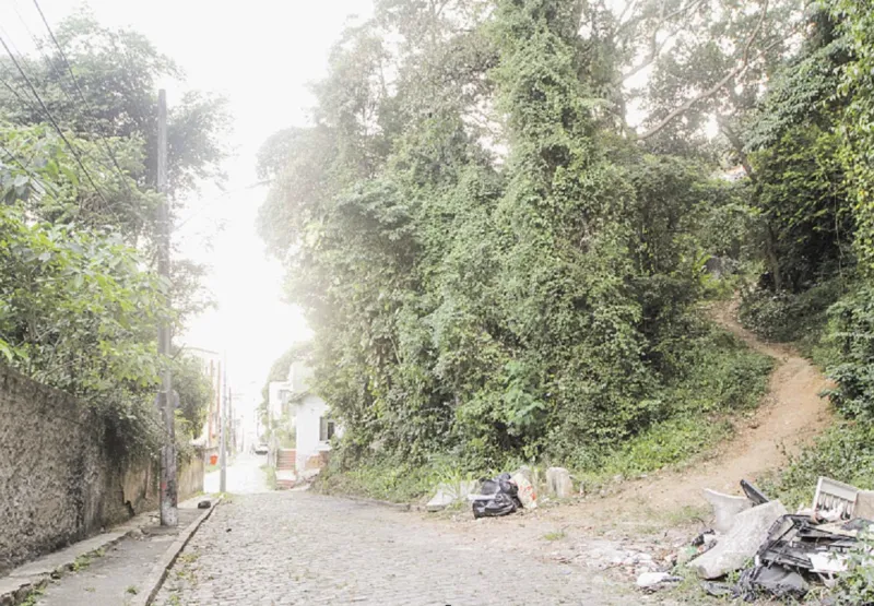 Encosta com desmatamento  na rua Wilson Freitas, no Centro de Vitória.  Morador teme risco de deslizamento