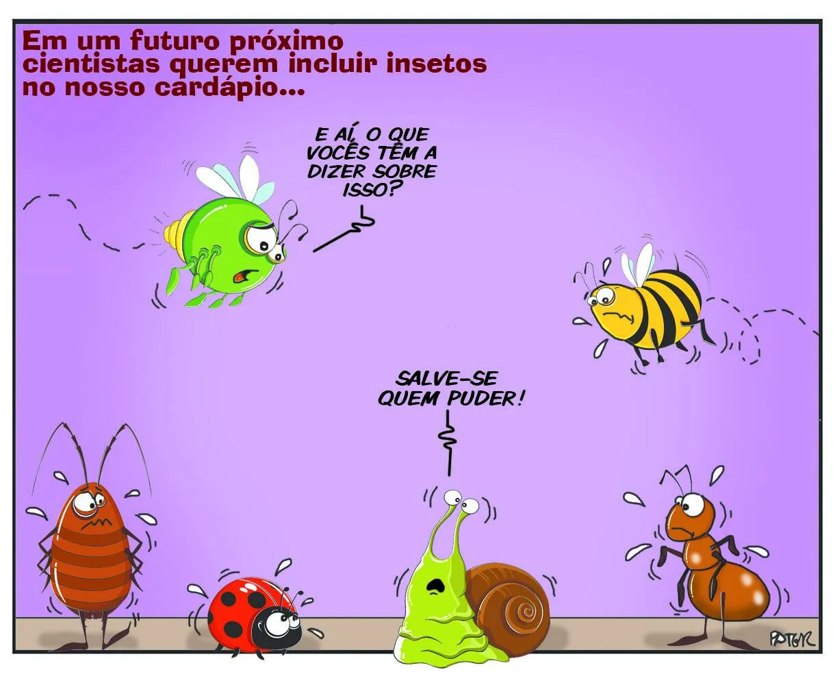 Imagem ilustrativa da imagem Em um futuro muito próximo, cientistas querem incluir insetos no nosso cardápio