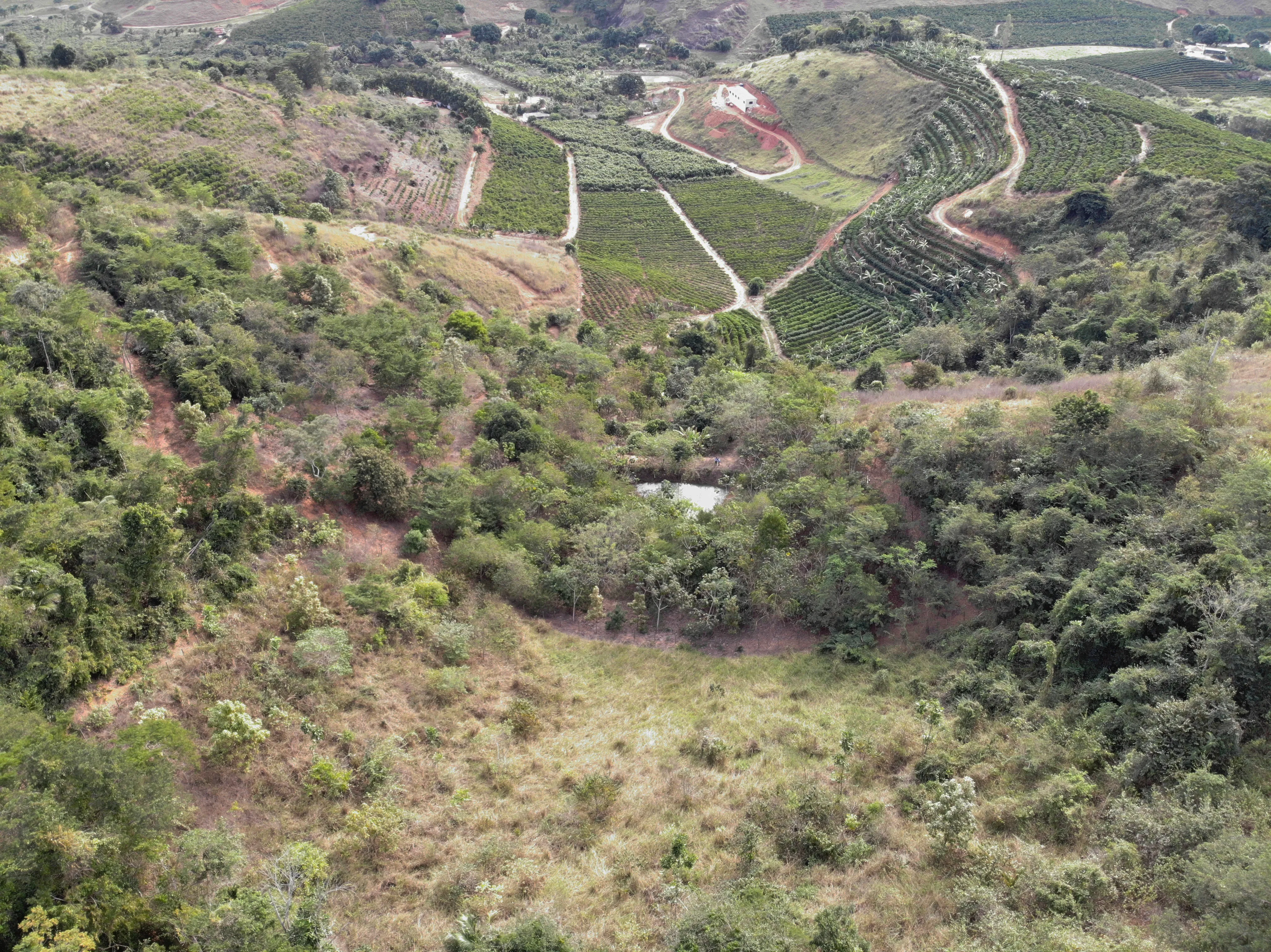 Área de recuperação florestal que faz parte dos projetos da Fundação Renova