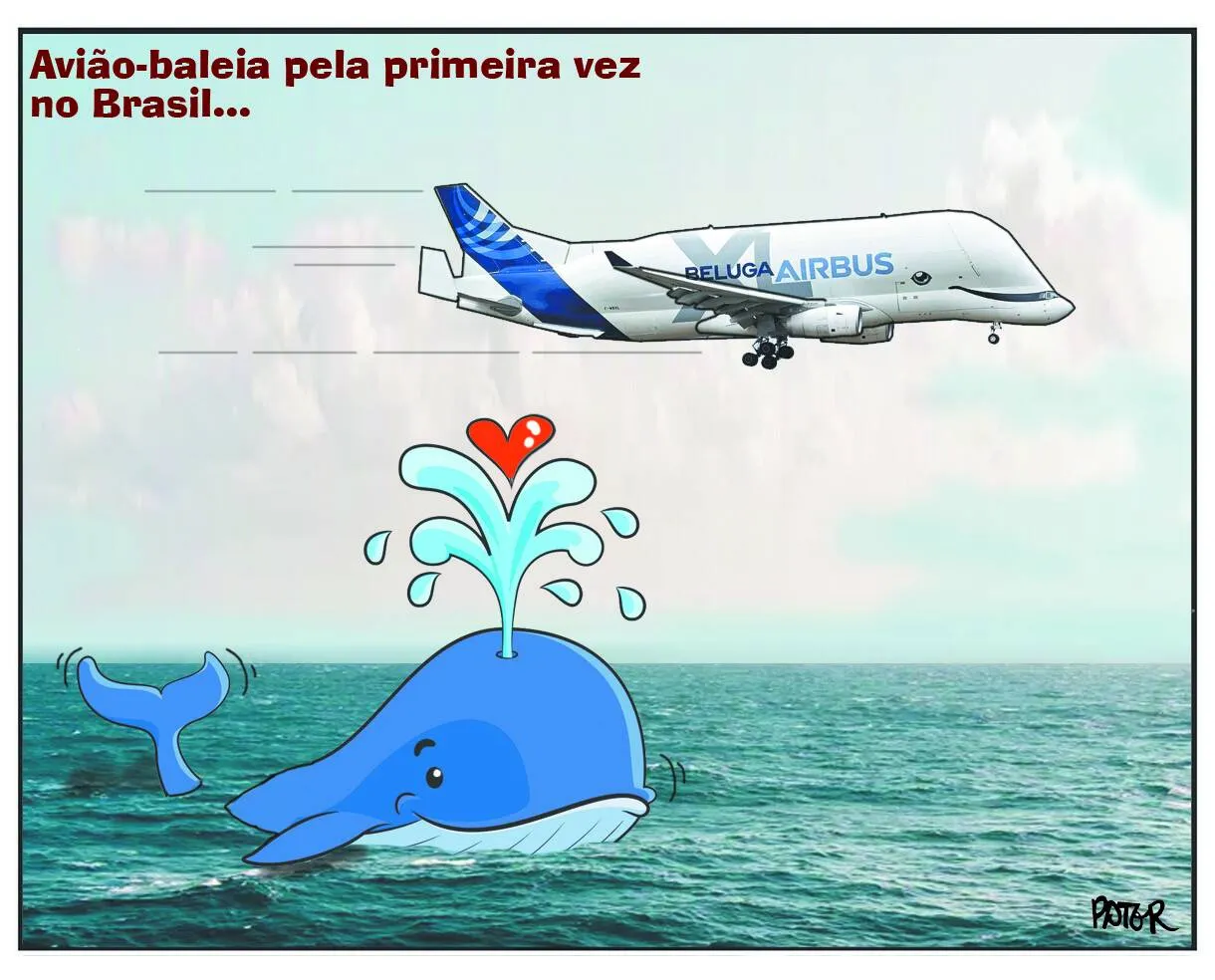 Imagem ilustrativa da imagem Avião-baleia pela primeira vez no Brasil...