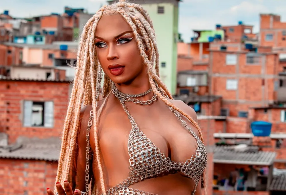 Imagem ilustrativa da imagem Shows com estrelas da MPB e do rap no Estado