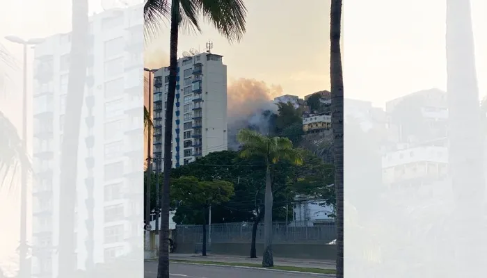 Incêndio atinge área de mata no bairro Forte São João, em Vitória