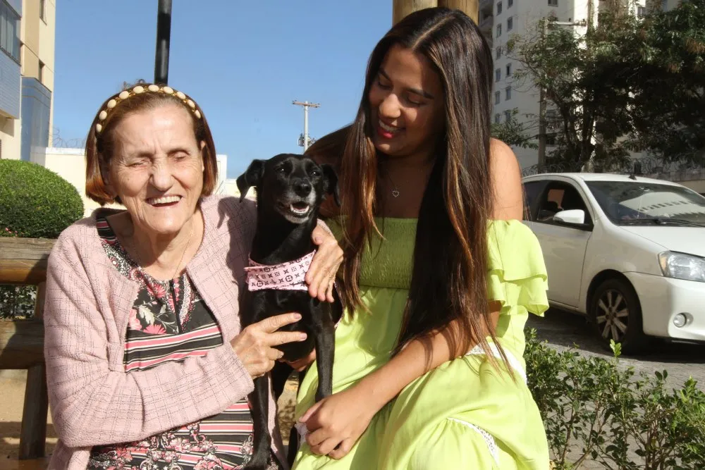 Imagem ilustrativa da imagem Histórias de amor de famílias com seus pets