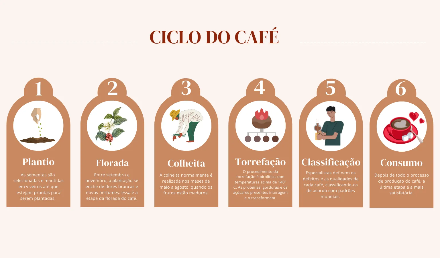 Imagem ilustrativa da imagem Mãos que cooperam para levar o café à mesa