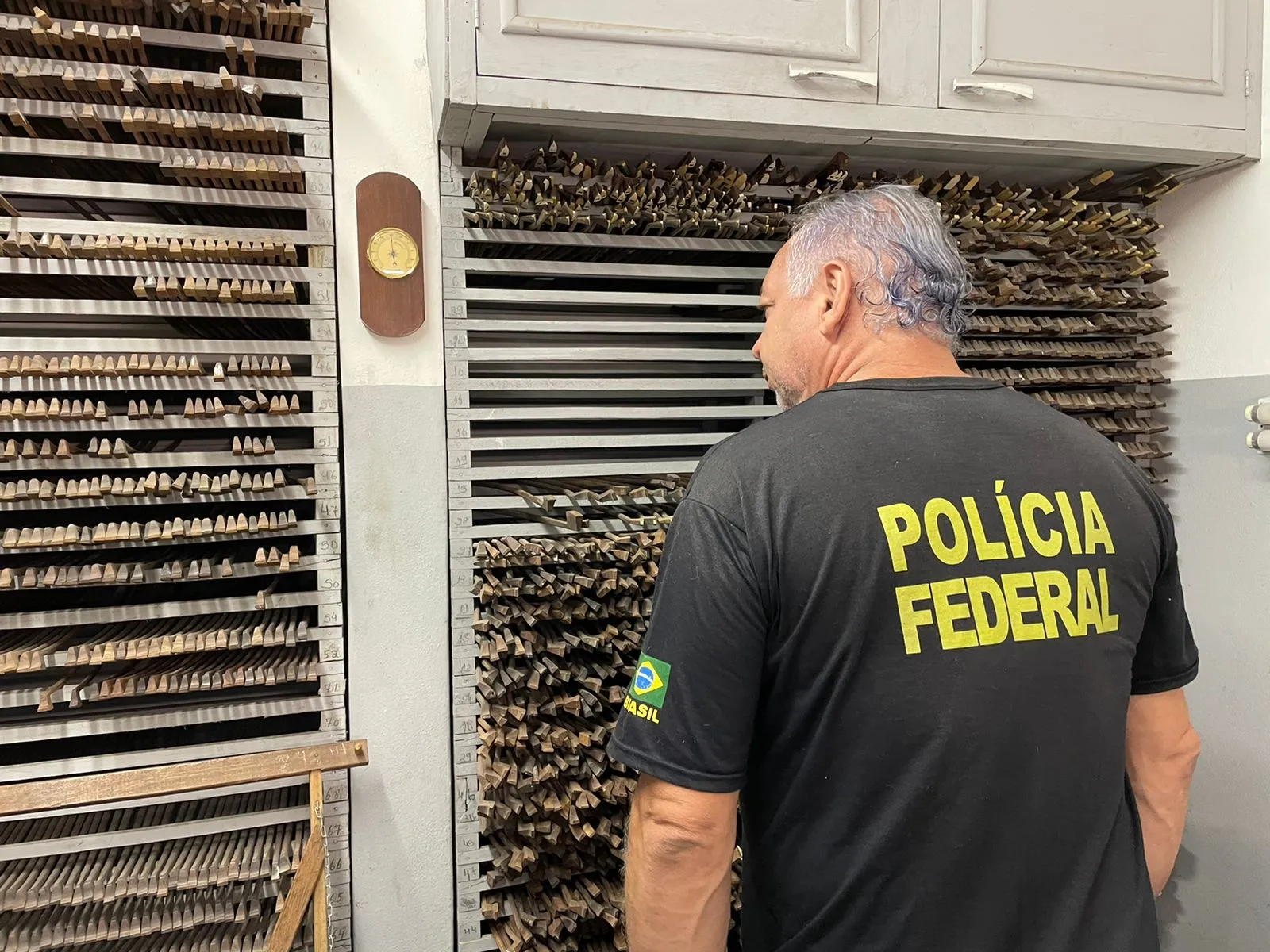 Imagem ilustrativa da imagem Quadrilha suspeita de extrair árvores em extinção é alvo de operação no ES