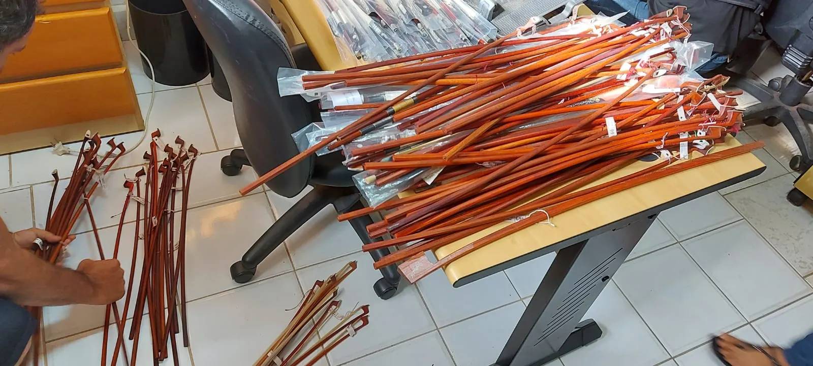 Imagem ilustrativa da imagem Instrumentos musicais eram feitos com madeira de Pau-Brasil extraída, diz PF