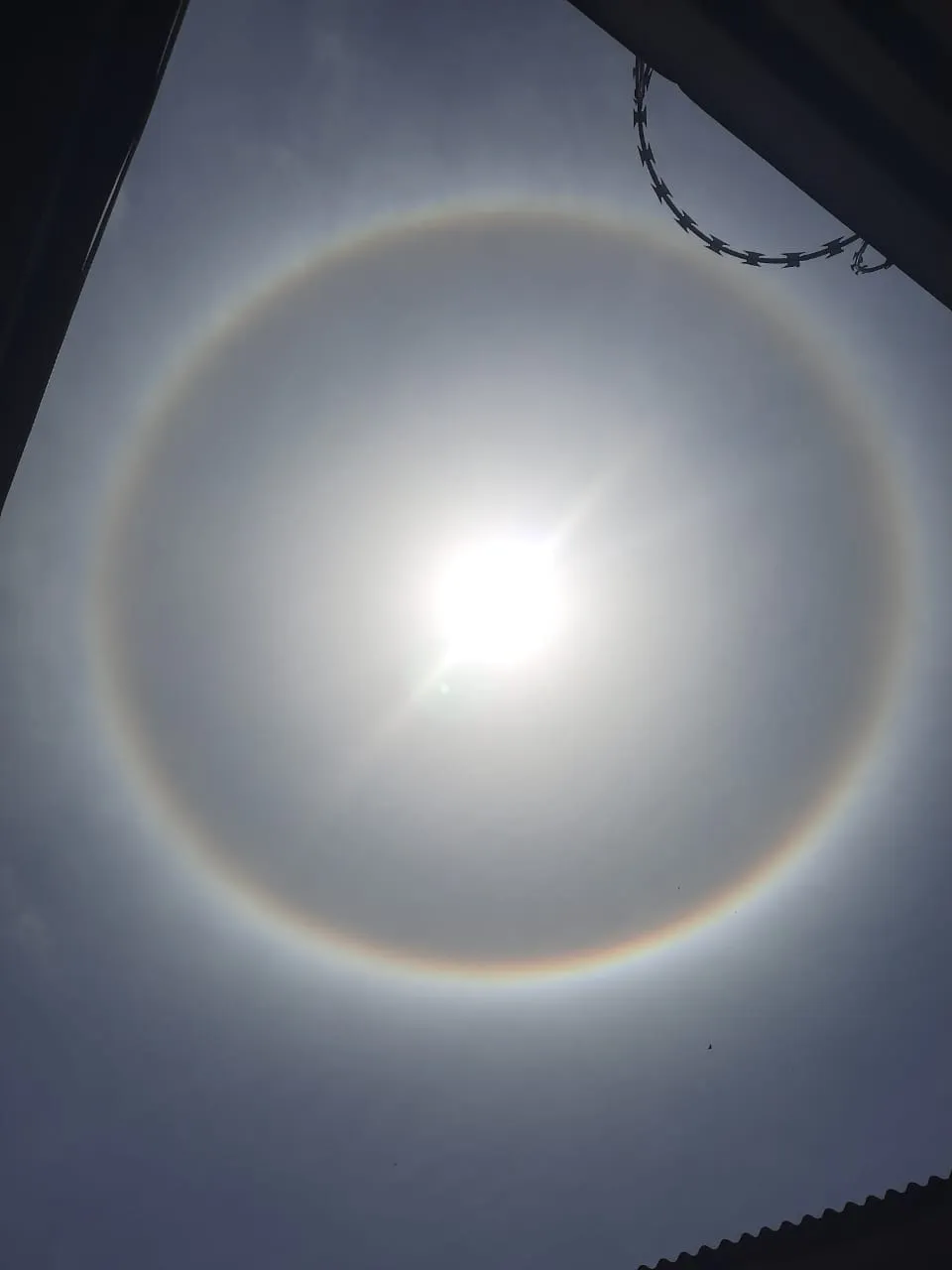 Halo solar: Fenômeno forma 'arco-íris' em torno do sol em PE