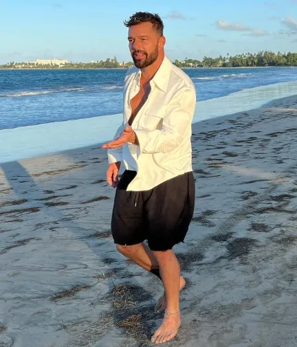Imagem ilustrativa da imagem Ricky Martin pode pegar 50 anos de prisão