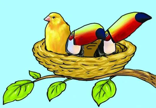 Imagem ilustrativa da imagem PP pode fechar com Erick