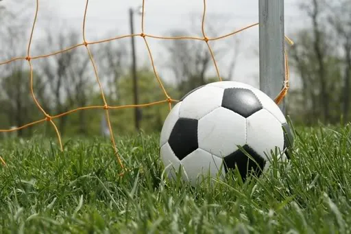 Imagem ilustrativa da imagem Para voltar a ter prazer com futebol, técnico cria 1º clube vegano das Américas