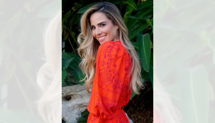 Imagem ilustrativa da imagem "Estou muito feliz agora", diz Wanessa Camargo sobre nova fase