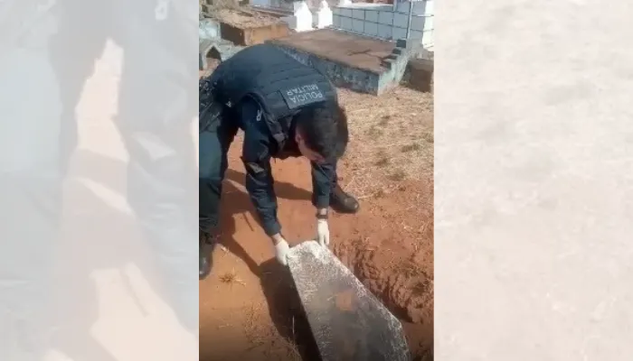 Imagem ilustrativa da imagem Polícia encontra porco sem cabeça dentro de caixão em cemitério