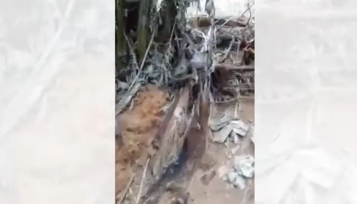 Imagem ilustrativa da imagem "Cemitério" de cavalos é encontrado em cidade do ES; polícia investiga