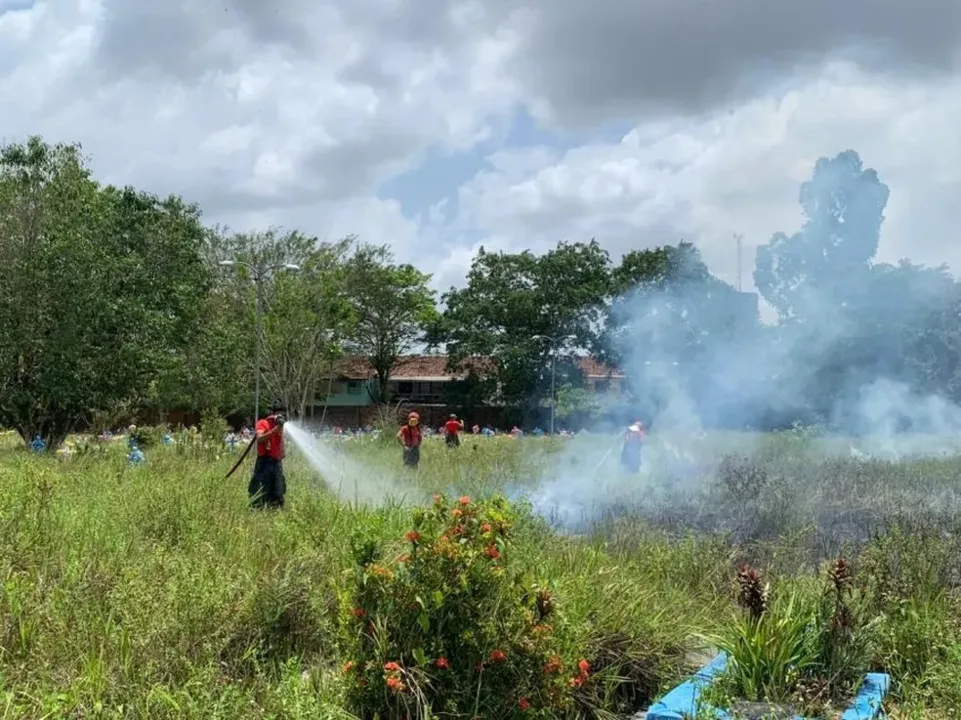 Imagem ilustrativa da imagem Família solta fogos de artifício em enterro e gera incêndio em cemitério