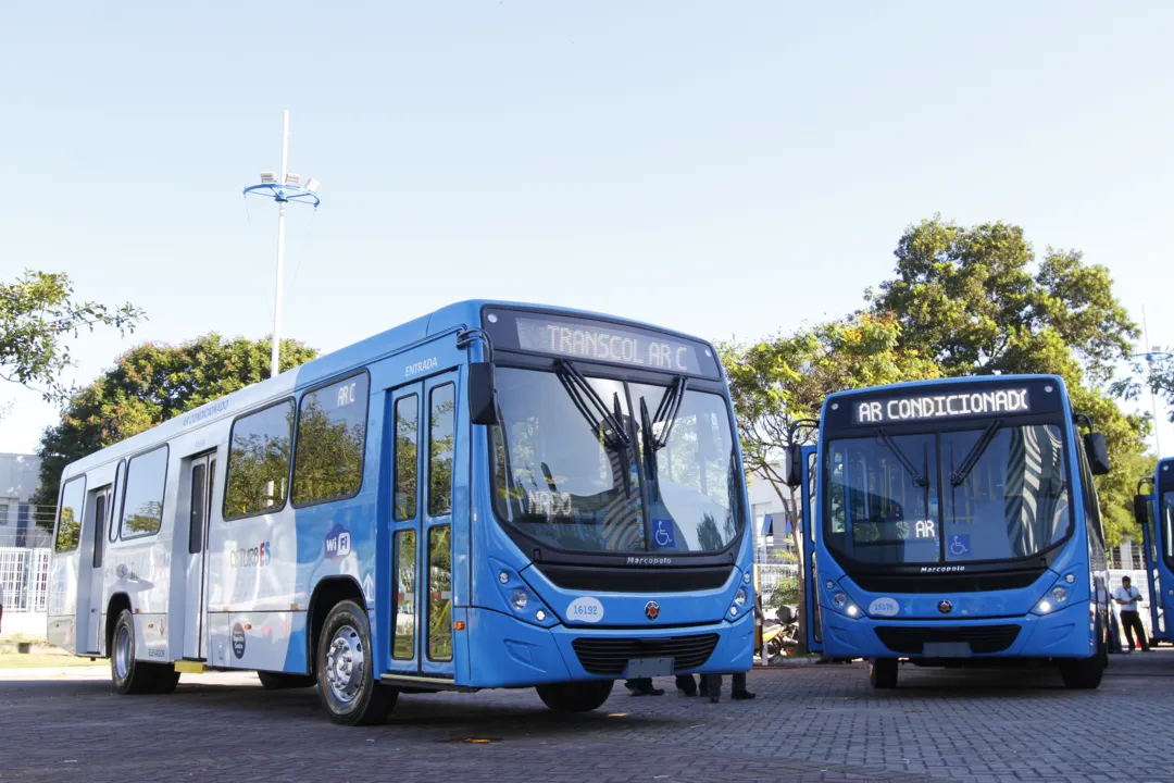 Imagem ilustrativa da imagem Transcol vai ter reforço em terminais com ônibus extras no domingo de Enem