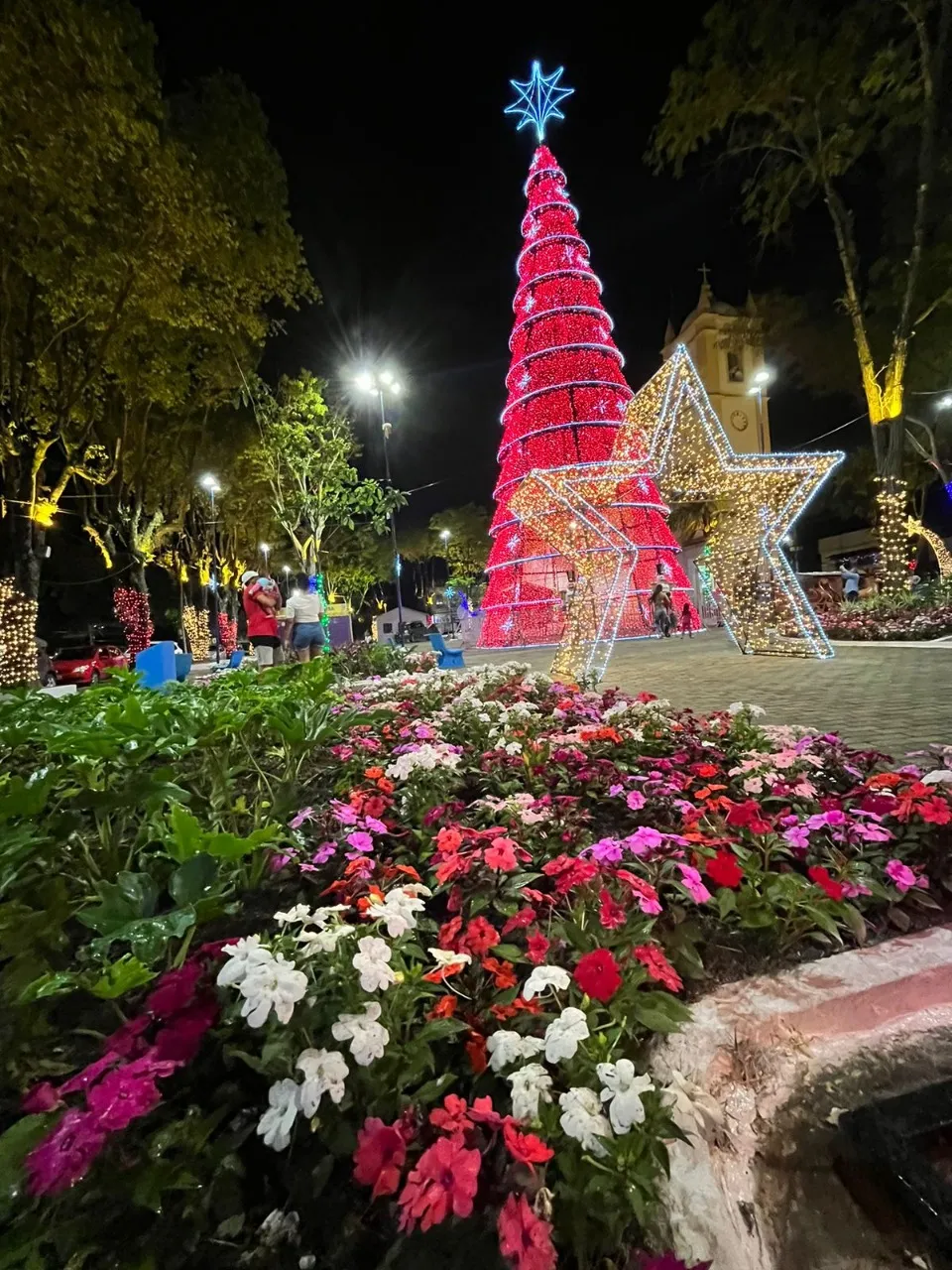 Imagem ilustrativa da imagem Decoração de Natal no centro de Vitória encanta visitantes