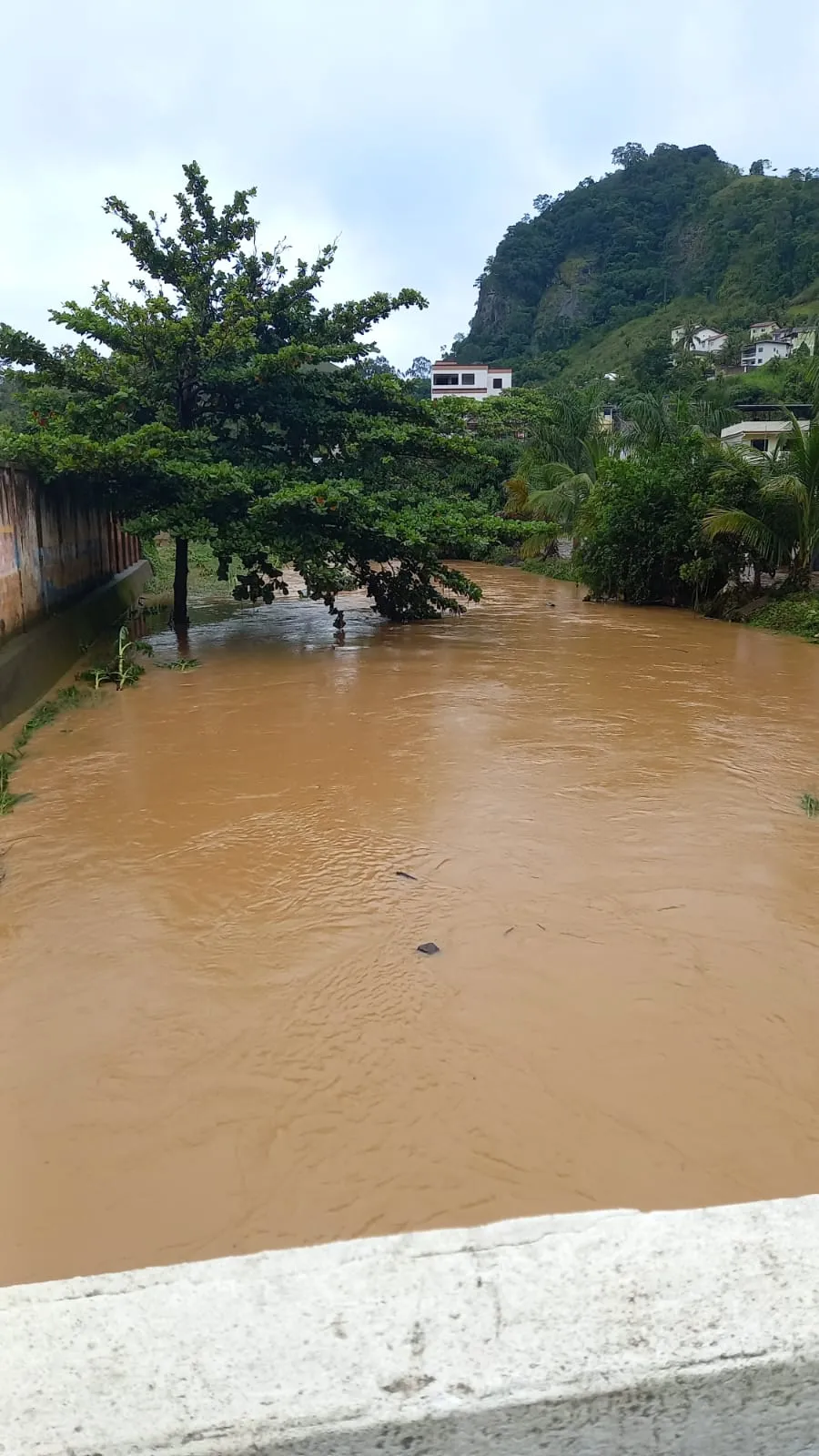 Imagem ilustrativa da imagem Chuva derruba pontes, bloqueia estradas e isola moradores no ES