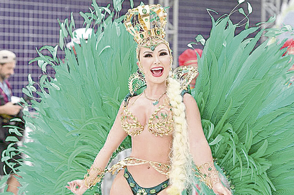 Imagem ilustrativa da imagem Fantasias de Carnaval que valem até R$ 92 mil