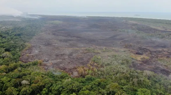 Imagem ilustrativa da imagem Perícia é concluída e indica causa do incêndio no Parque Paulo César Vinha