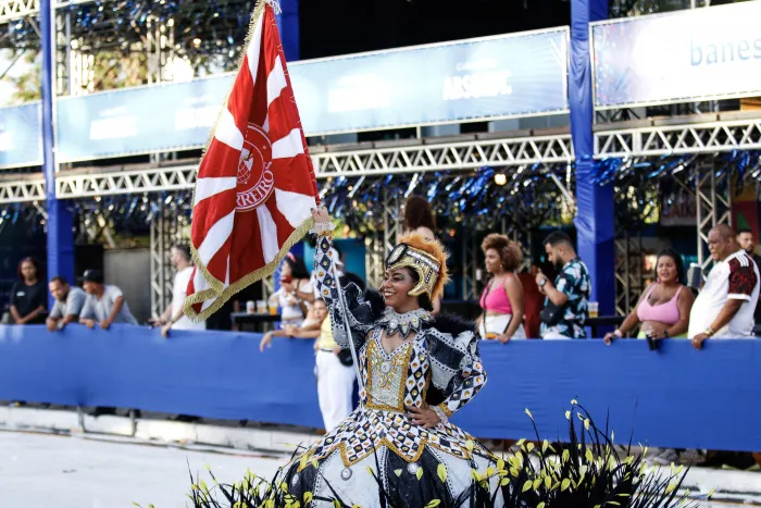 Imagem ilustrativa da imagem Veja como foi o desfile da Unidos de Barreiros