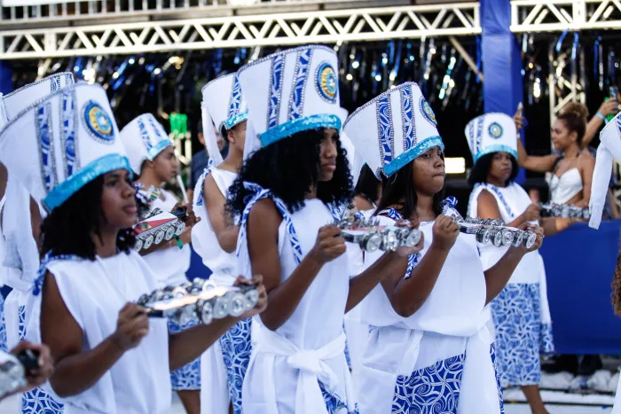 Imagem ilustrativa da imagem Veja como foi o desfile da Unidos de Barreiros