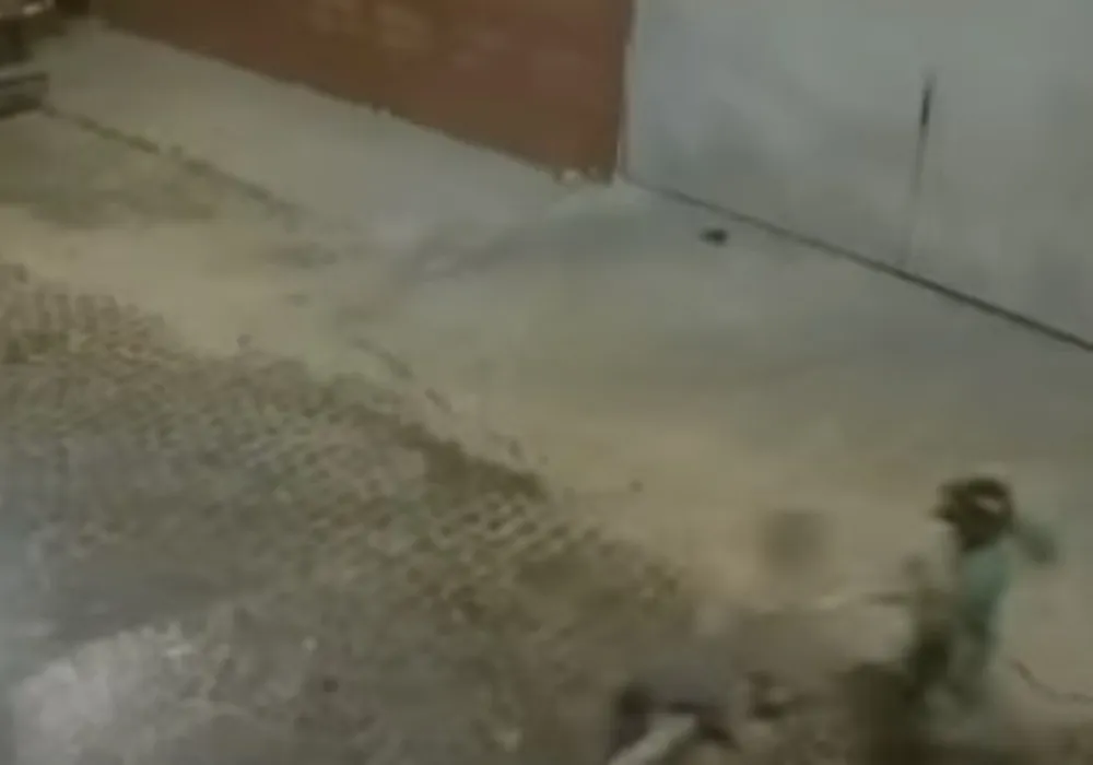 Imagem ilustrativa da imagem Grávida é assassinada a tiros no RJ e bebê morre horas depois de nascer
