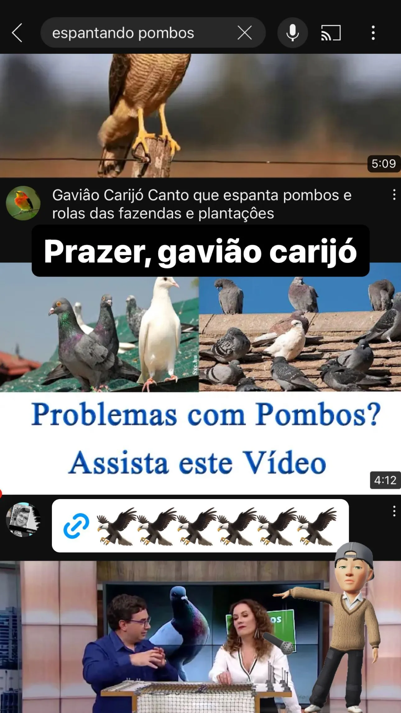 Imagem ilustrativa da imagem VÍDEO | Pombo arrasta asa para Jade Picon e é espantado pelo irmão da atriz