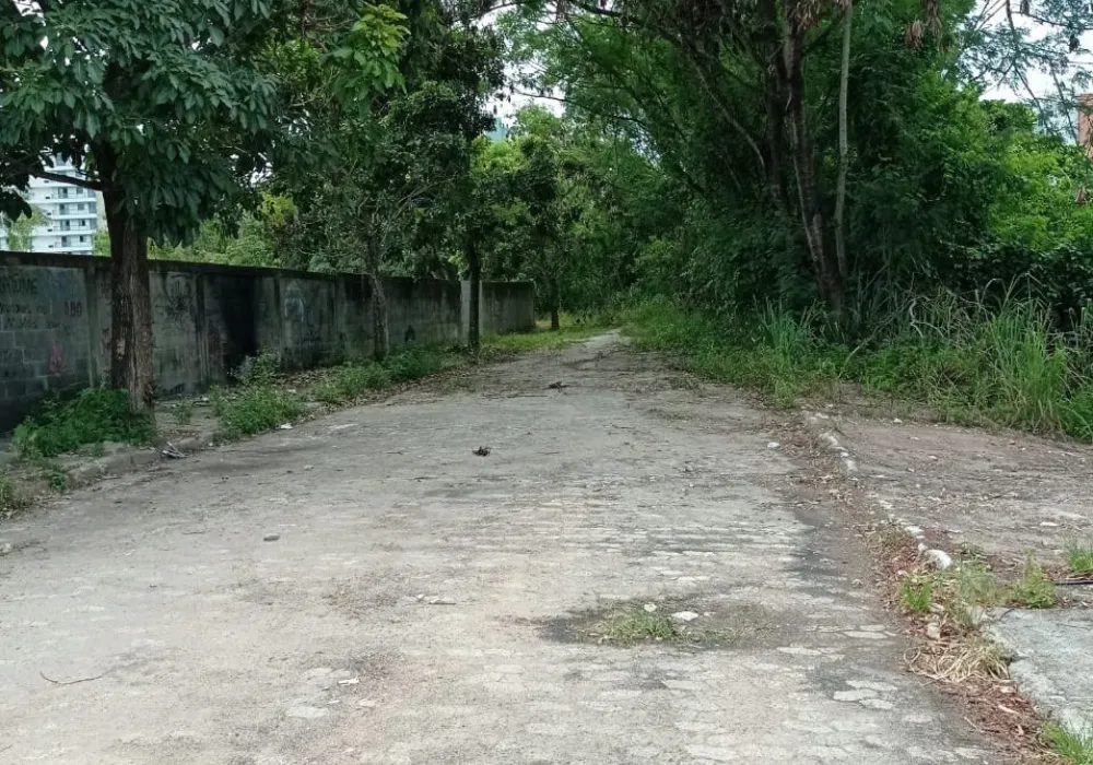 Imagem ilustrativa da imagem Perigo em ruas abandonadas do bairro Jardim Camburi