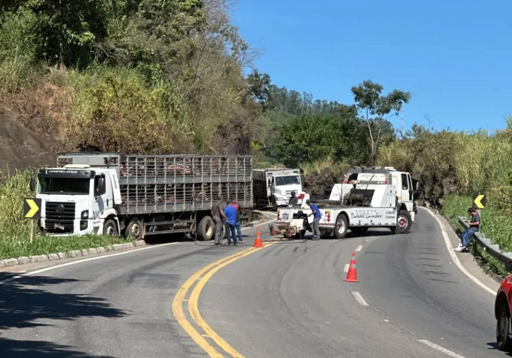 Imagem ilustrativa da imagem Caminhão com porcos apresenta problema na pista e interdita BR-262 no ES