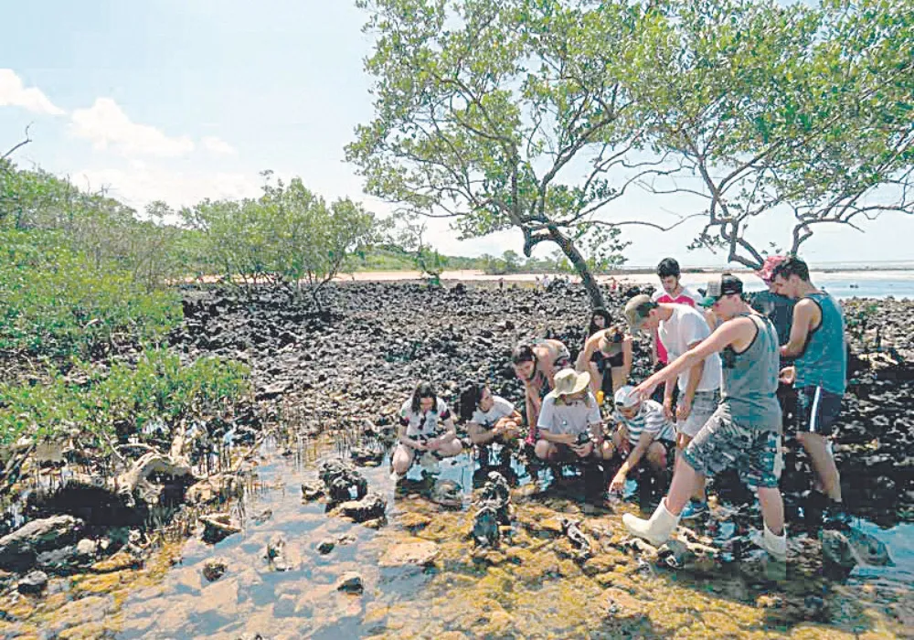 Imagem ilustrativa da imagem Passeios em Aracruz para conhecer praias e manguezal