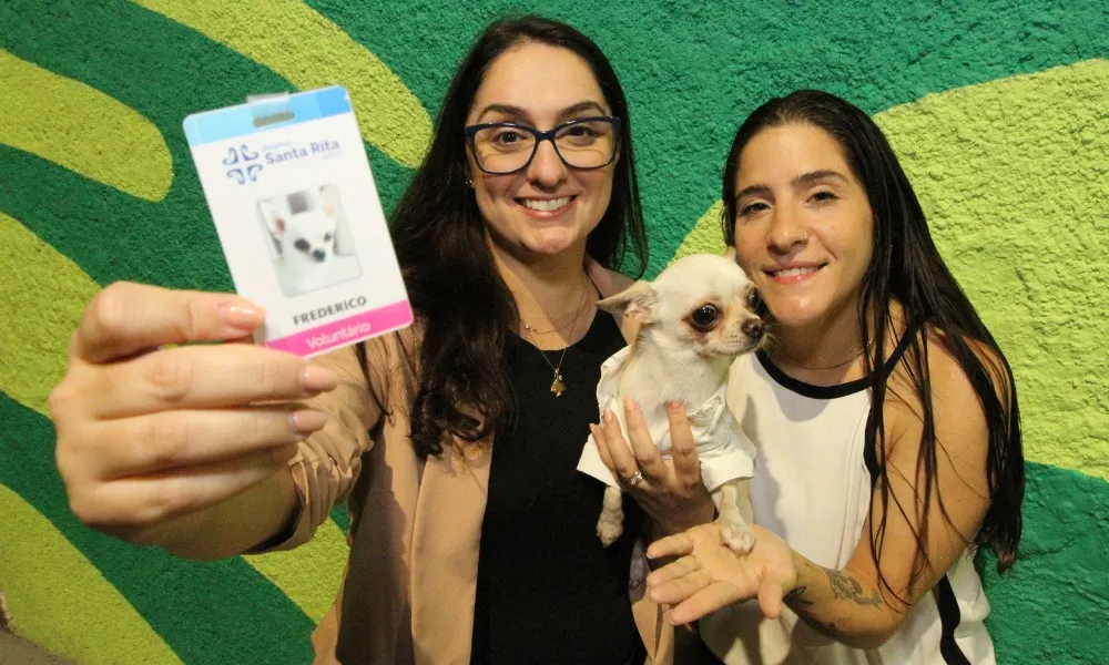 Imagem ilustrativa da imagem Pacientes em hospital de Vitória têm ajuda de “cães terapeutas”