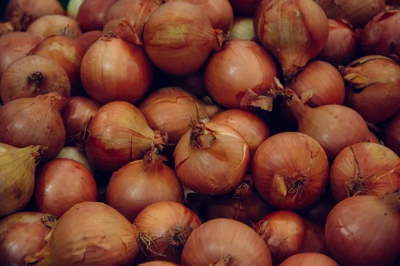 Imagem ilustrativa da imagem Preços da alface, da batata, da cebola e do tomate sobem no atacado em novembro