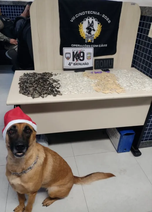 Imagem ilustrativa da imagem Polícia encontra pinos de cocaína em carrinho de bebê em Vila Velha